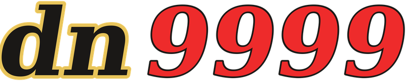dn9999 logo
